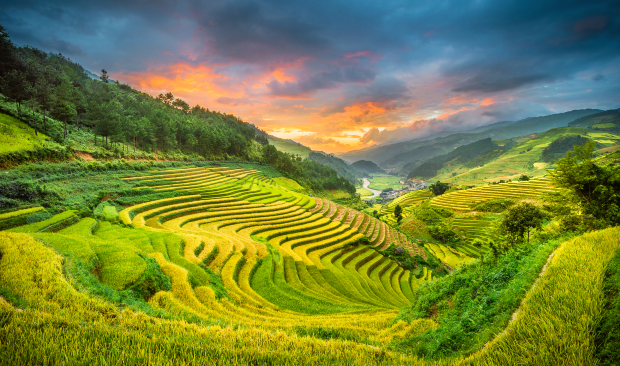 Bí kíp du lịch Sapa mùa lúa chín — đẹp nhất năm vào tháng 9