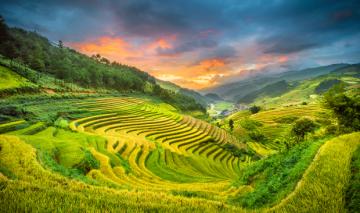 Bí kíp du lịch Sapa mùa lúa chín — đẹp nhất năm vào tháng 9
